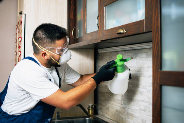 Best Wasp Removal Services  in Southwood Acres, CT