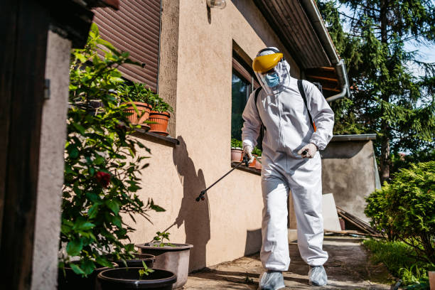 Best Pest Prevention Services  in Southwood Acres, CT