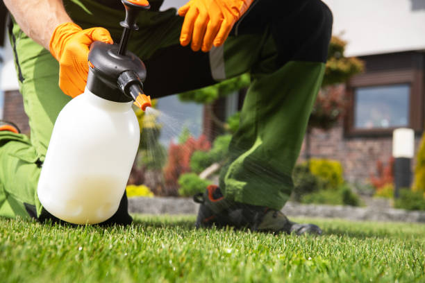 Best Commercial Pest Control Services  in Southwood Acres, CT