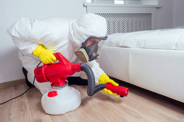 Best Emergency Pest Control  in Southwood Acres, CT