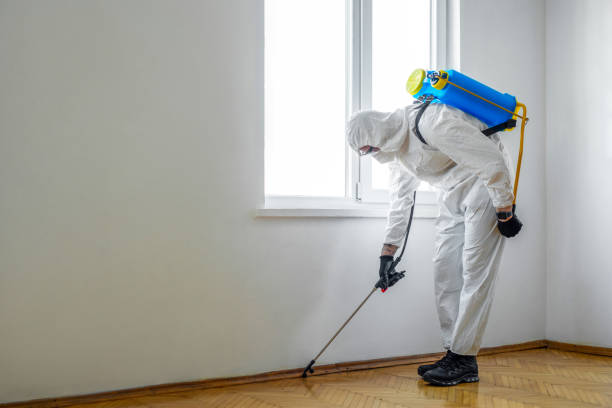 Best Mosquito Control Services  in Southwood Acres, CT