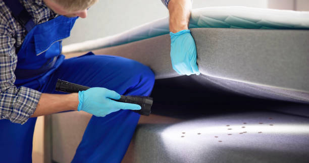 Best Pest Control Cost  in Southwood Acres, CT