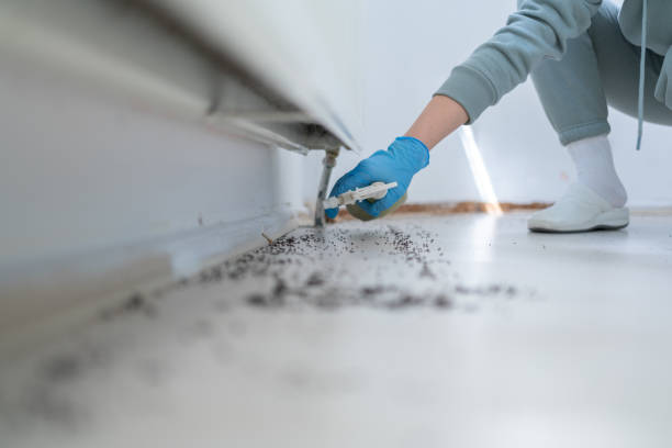 Best Pest Removal Services  in Southwood Acres, CT