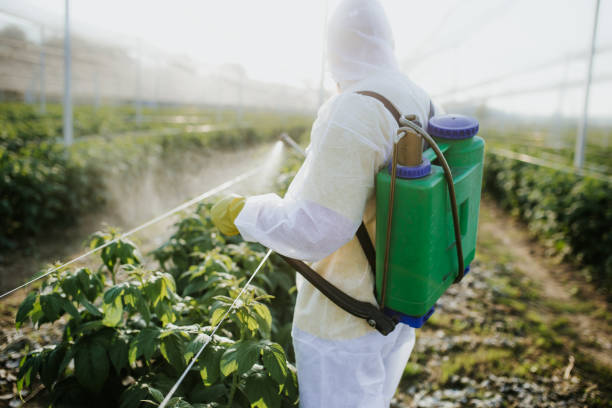 Pest Control Cost in Southwood Acres, CT